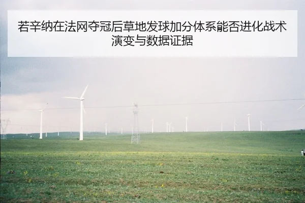 ruo-xin-na-zai-fa-wang-duo-guan-hou-cao-di-fa-qiu-jia-fen-ti-xi-neng-fou-jin-hua-zhan-shu-yan-bian-yu-shu-ju-zheng-ju-2-725.jpg